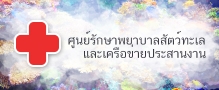Relateds Banner Slider-687871f9c3948.jpg